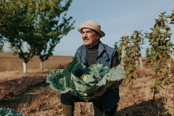 Où trouver des hébergements écologiques budget-friendly en Australie?